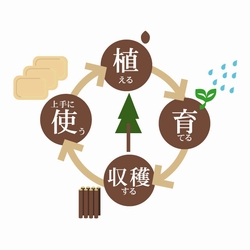 森を育てる間伐材商品