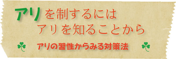 アリを制するにはアリを知ることから ~アリの習性からみる対策法~