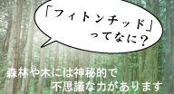 「フィトンチッド」ってなに? 森林や木には神秘的で不思議な力があります