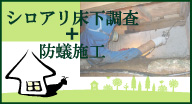シロアリ床下調査+防蟻施工