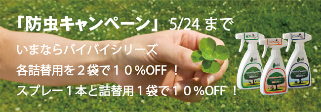 ����ޡ֥Х��Х����꡼����10��OFF�����ڡ���