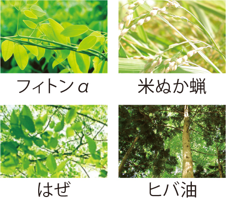 フィトンα 米ぬか蝋 はぜ ヒバ油