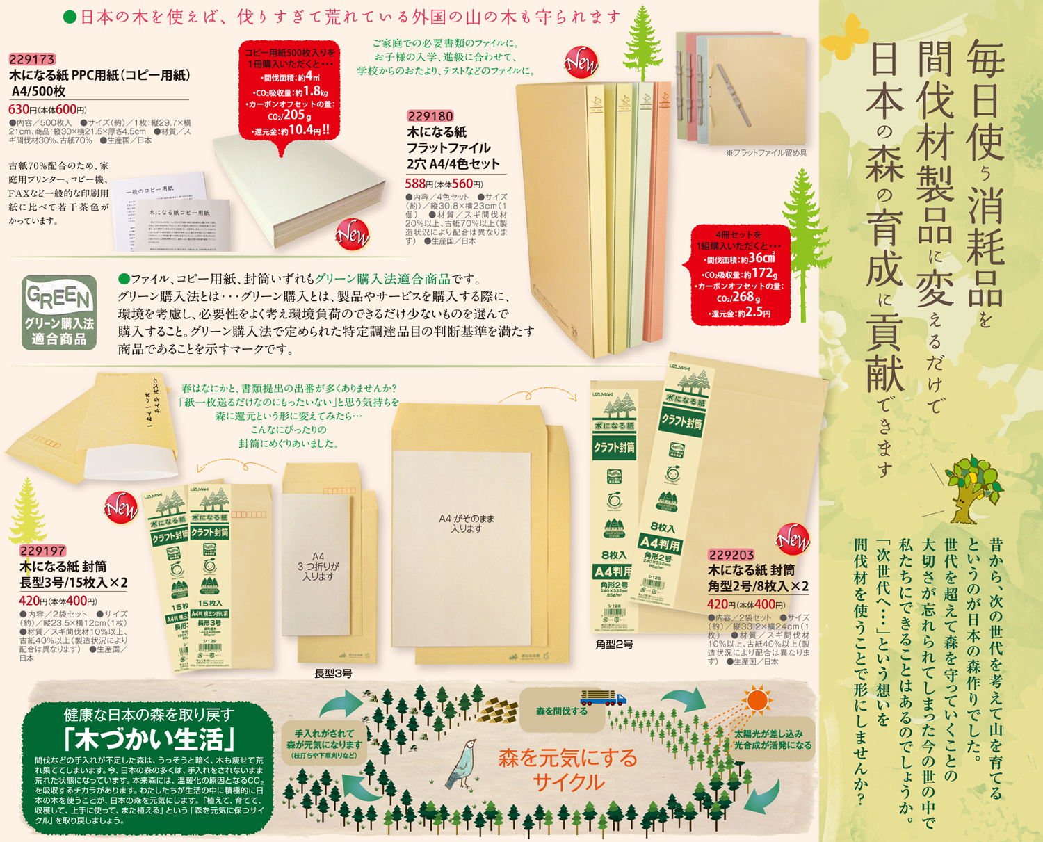 木になる紙 封筒 角型２号 ８枚入 ２ エコデパジャパン