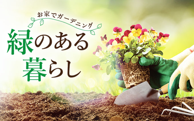 緑のある暮らし