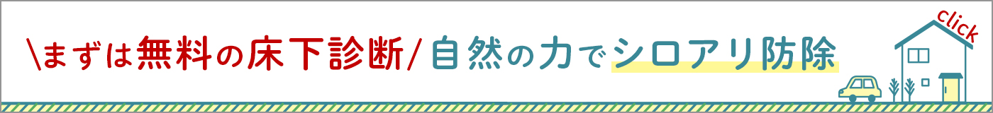 シロアリ床下調査+防蟻施工