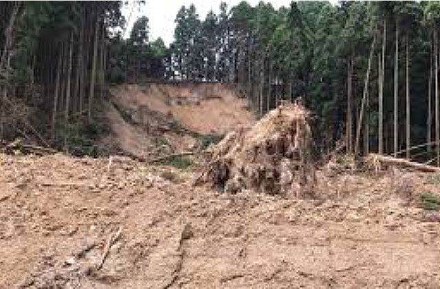 竹害イメージ土砂崩れ