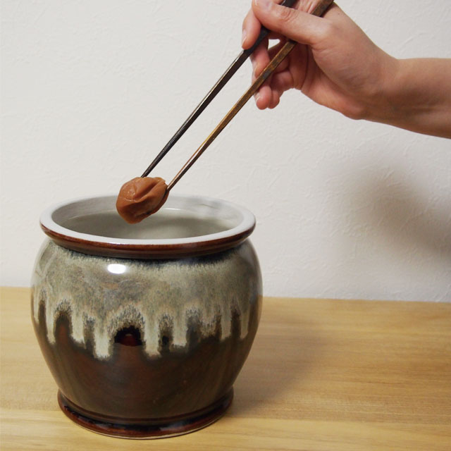 蓋蓋付カメ 茶
